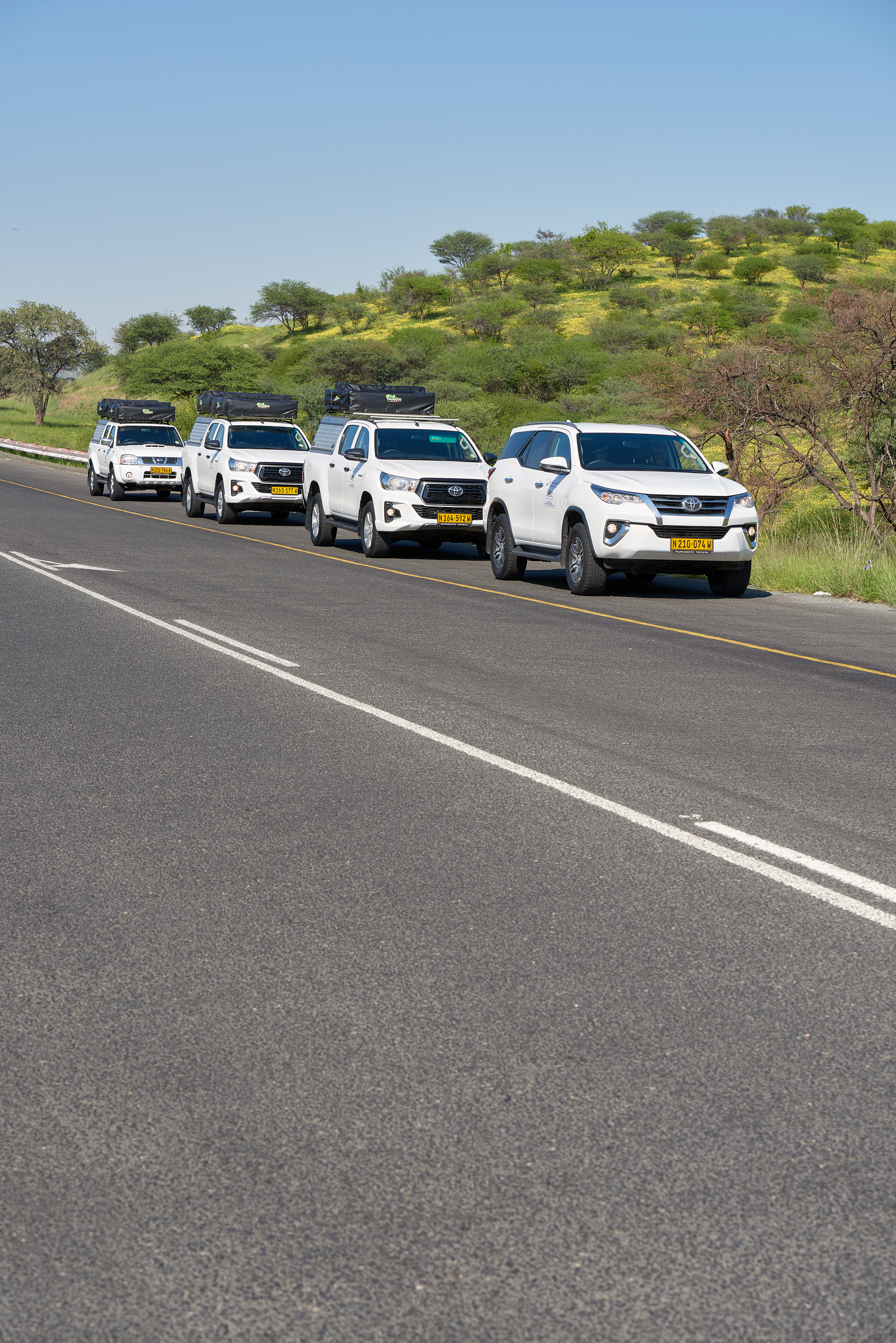 Executive Car Rentals